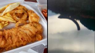 Lad claims he has actual footage of Loch Ness Monster nicking his chips