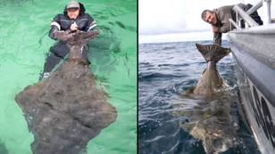 Angler reels in massive 28-stone halibut and it's thought to be very old