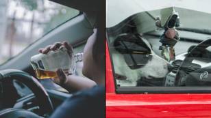 Driver tried to switch seats with his dog to avoid drunk driving arrest