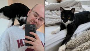 Man Rushes Cat To Vets Only To Be Told It's Sick Of Him