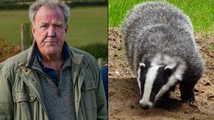 Jeremy Clarkson says farmers are taking their own lives because of badgers