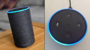 You can unlock 'super Alexa mode' on your Amazon device with cheat code