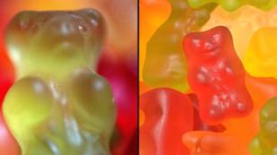 Haribo fans horrified to learn real flavour of green gummy bears