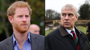 Prince Harry has 'done more damage to the British Royal Family' than Prince Andrew, says new poll