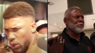 Anthony Joshua furiously lashes out at fan who tells him to 'keep it professional' after fight