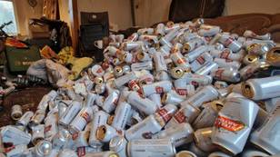 Huge mountain of Stella cans is cleared from hoarder's house