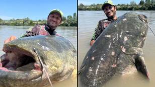 'Monster' 9ft 4¼in catfish caught during 43-minute struggle could break a world record