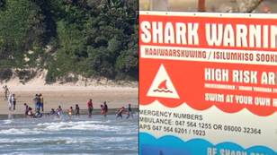 Mystery As World’s Deadliest Beach Exploded With Fatal Shark Attacks Out Of Nowhere