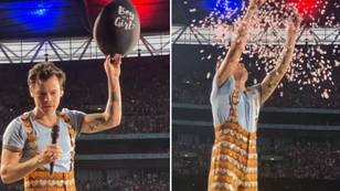 Harry Styles praised for helping fan with gender reveal during concert