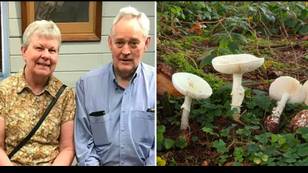 Sole survivor of poisonous mushroom lunch that killed three finally allowed home