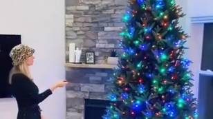 Woman Claims She Ordered "Fabulous" 6ft Christmas Tree But Received Just A Branch