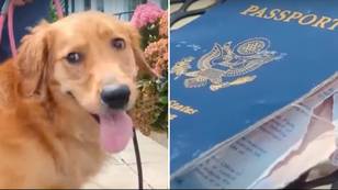 Couple’s dog eats groom's passport just days before wedding in Italy