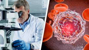 Scientists discover 'kill switch' that triggers death of cancer cell in breakthrough