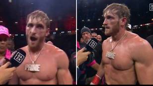 Logan Paul calls out his next opponent in explosive interview after Dillon Danis' disqualification