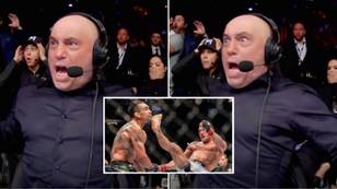 New Video Shows Joe Rogan Completely Losing It At Michael Chandler's UFC 274 KO
