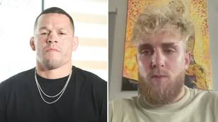 Jake Paul sets up replacement fight for Nate Diaz as police issue arrest warrant, fans prefer this instead