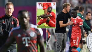 Bayern Munich star Sadio Mane was 'involved in furious bust-up' with Julian Nagelsmann