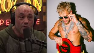 Joe Rogan Thinks Jake Paul's Boxing Skills Are Disrespected Because He's A Celebrity
