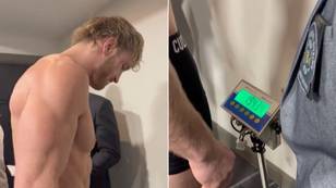 Logan Paul exposes Dillon Danis for lying about him missing weight in brutal video, it's embarrassing