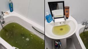 Council blasted as tenant's bath fills up with raw sewage