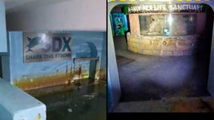 Sad message remains untouched at abandoned aquarium which has been left to rot