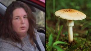 Growers dispute poisonous mushroom claims after woman says she bought ingredient at local store
