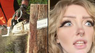 People horrified after learning what chainsaws were originally used for