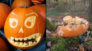 Urgent warning issued over pumpkin waste this Halloween