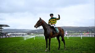 Leaving Cert Student in Disbelief After Win in First Ever Cheltenham Race