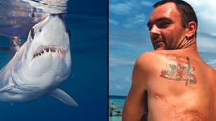Man survives five bites in horrific shark attack after being saved by dolphins