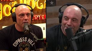 Majority of women find it a turn off if their partner listens to Joe Rogan’s podcast, study says