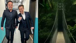 Ant and Dec drop first teaser trailer for I’m a Celebrity… Get Me Out of Here!