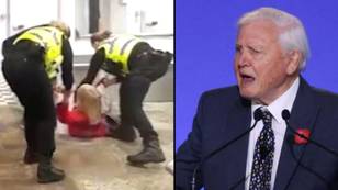 Eco protestor arrested as she tried to confront Sir David Attenborough