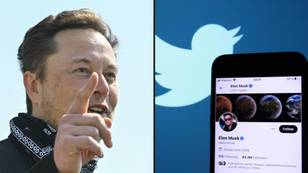 Several top executives at Twitter have been 'fired' after Elon Musk completed his takeover