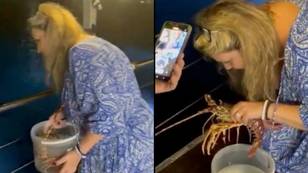 Tourist strokes £172 lobster at posh restaurant before setting it free