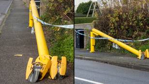 New two-way speed cameras are already being cut down by vigilantes