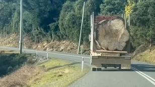 Photo of a tree on the back of a truck leaves people furious