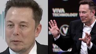 Elon Musk always asks the same unusual interview questions that can catch out liars