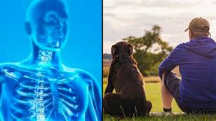 Symptoms of incurable disease that can jump from dogs to humans as three people are infected