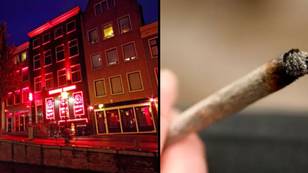 Amsterdam introduces new rules around weed, drinking and brothels as city tells young Brits to 'stay away'