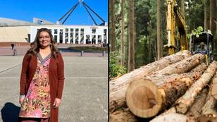 Greens MP set to bulldoze 20 trees for her investment property