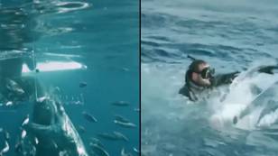 Terrifying Moment Great White Shark Attacks Cage Causing Diver To Swim For His Life