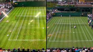Wimbledon game suspended after Just Stop Oil run onto court and cover it in confetti
