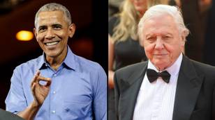 Former US President Barack Obama beats out David Attenborough for nature documentary Emmy