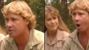 Steve Irwin had brilliant plan to 'save the world' that's hard to disagree with