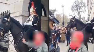 Woman argues with police after continuously harassing King's Guard horse