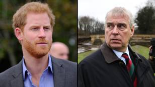 Prince Harry has 'done more damage to the British Royal Family' than Prince Andrew, says new poll