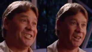 Irwin family share emotional video of Steve Irwin describing ‘love at first sight’