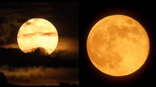 First supermoon of the year to light up skies tonight