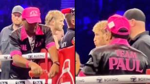 Man ringside at Logan Paul vs Dillon Danis shows what trainer did to his mouthguard before the fight